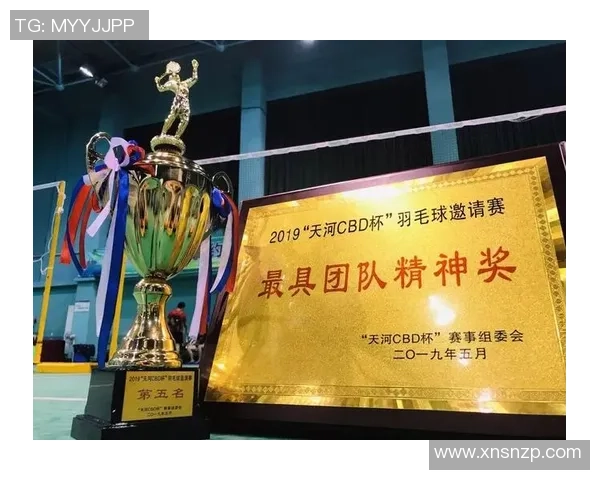 武汉羽毛球队荣登全国团队协作排行榜第二名展现卓越实力与团队精神