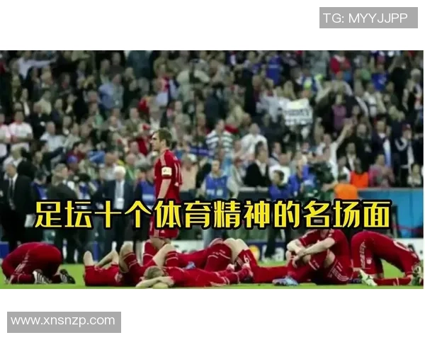 足球明星16号背后的传奇故事与他们的辉煌成就盘点