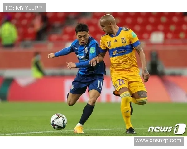 足球明星猪与老虎的奇幻对决揭示了团队合作与勇气的重要性 足球明星猪与老虎的奇幻对决揭示了团队合作与勇气的重要性