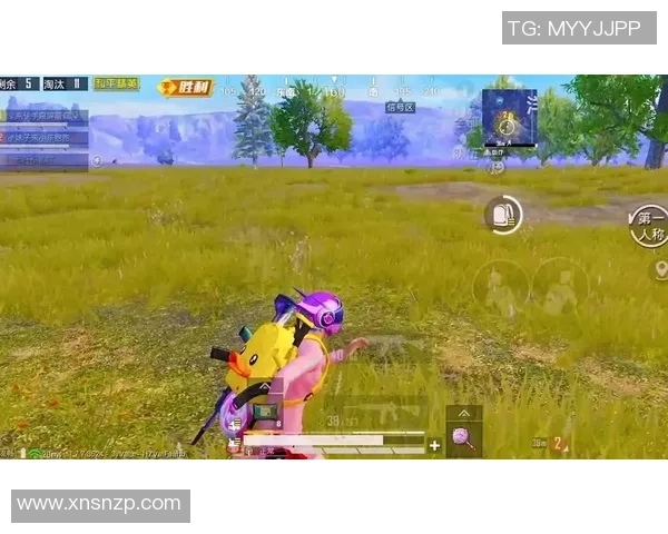 陈静专访：回顾和平精英历程_1